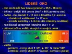 Optika