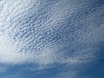 Cirrocumulus (02-08-2011)