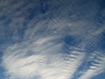 Altocumulus undulatus (25-08-2011)