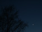Měsíc a Venuše v podvečer