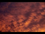 Mammatus 2