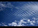 Altocumulus undulatus, 13:00 SEČ