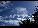 Altocumulus undulatus, 13:00 SEČ