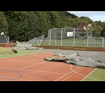 Škody způsobené bouřkou 9