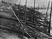 Lesní polom způsobený Tunguzskou katastrofou