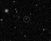 První snímek planetky Steins