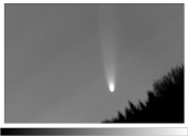 Kometa C/2006 P1 (McNaught)