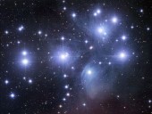 m45_gendler